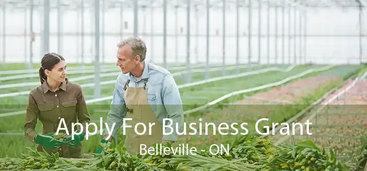 Apply For Business Grant Belleville - ON